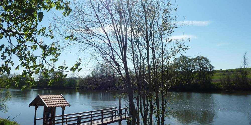 Brachwitz, Saaleblick